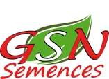 GSN-semences