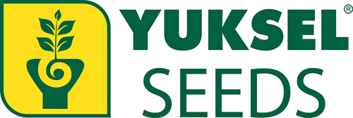 Yuksel seeds